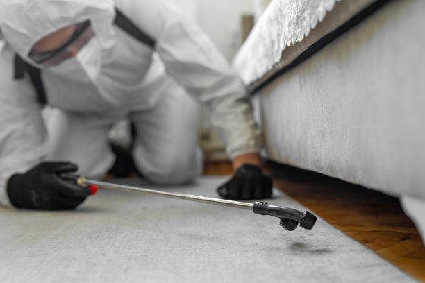 Professional Bed Bug Control technician working in Allendale, NJ