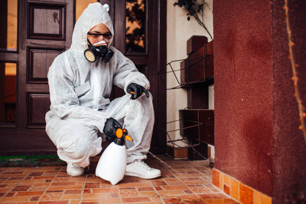 Reliable Bed Bug Control contractor in Allendale, NJ by Nex Pest Control