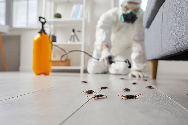 Trusted Rodent Control service in Allendale, NJ - Nex Pest Control