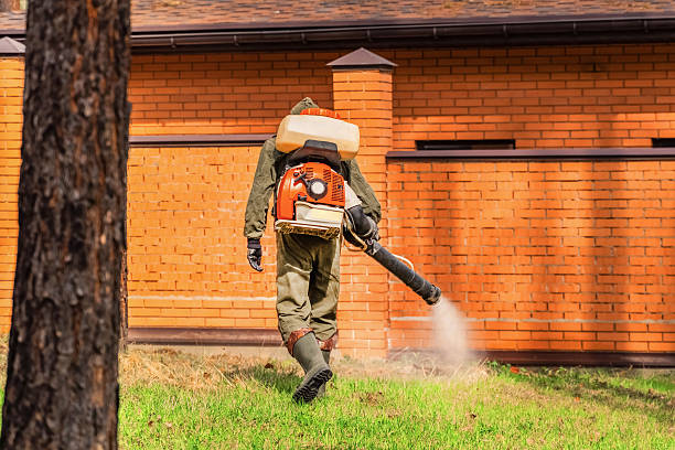 Trusted Bed Bug Control service in Allendale, NJ - Nex Pest Control